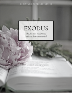 Exodus Text Modernized | Christine's Bible Study @ alittleperspective.com
