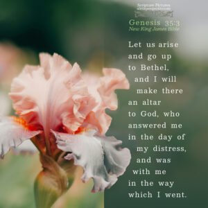 Gen 35:3 | Scripture Pictures @ alittleperspective.com