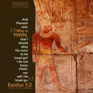 Exo 5:2 | Scripture Pictures @ alittleperspective.com