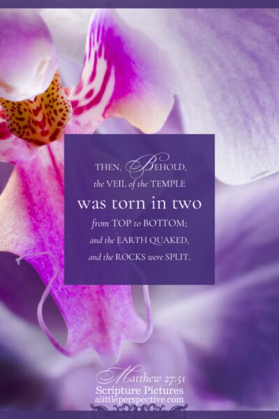 Mat 27:51 | Scripture Pictures @ alittleperspective.com