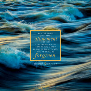 Lev 5:13a | Scripture Pictures @ alittleperspective.com