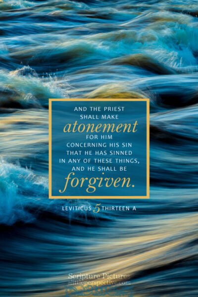 Lev 5:13a | Scripture Pictures @ alittleperspective.com