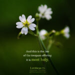Lev 7:1 | Scripture Pictures @ alittleperspective.com