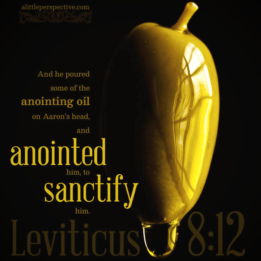 Lev 8:12 | Scripture Pictures @ alittleperspective.com 