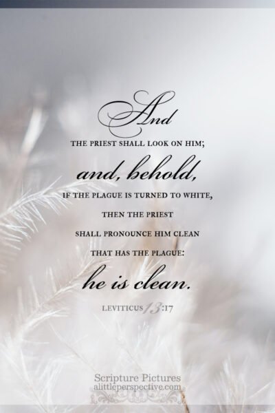 Lev 13:17 | Scripture Pictures @ alittleperspective.com