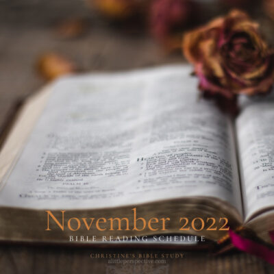 November 2022 Bible Reading Schedule