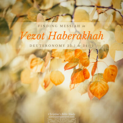 Finding Messiah in Vezot Haberakhah, Deuteronomy 33:1-34:12