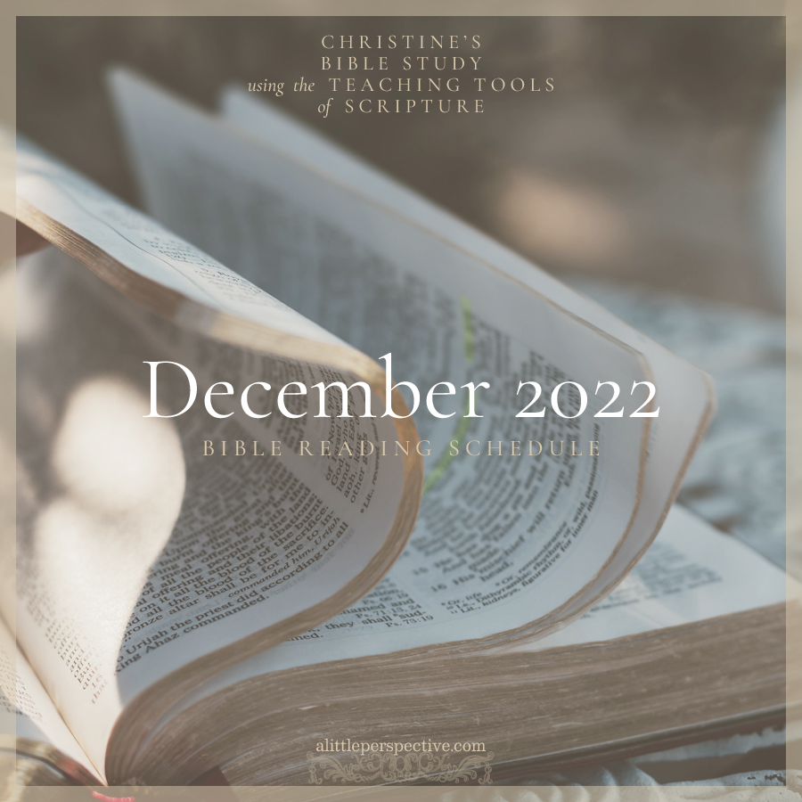 December 2022 Bible Reading Schedule | Christine's Bible Study @ alittleperspective.com