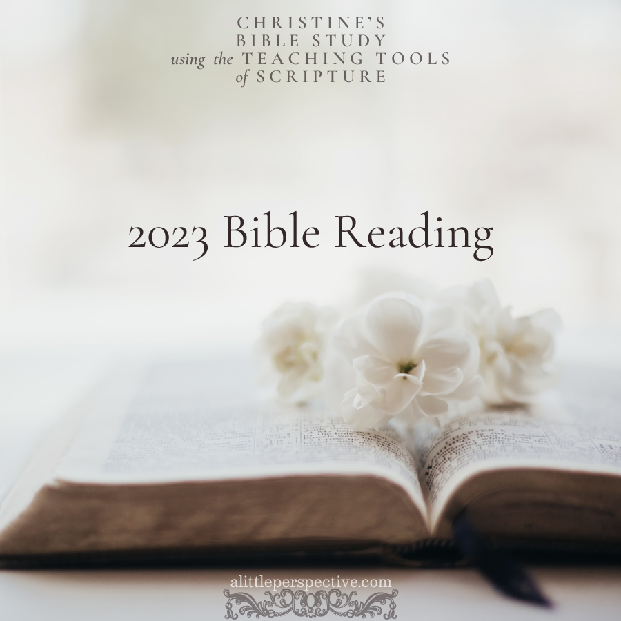 2023 Bible Reading Plan | Christine's Bible Study @ alittleperspective.com