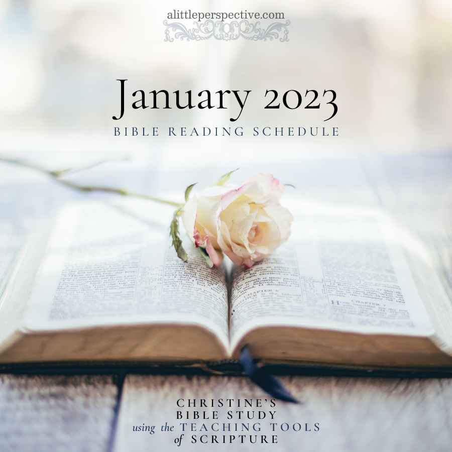 January 2023 Bible Reading Schedule | Christine's Bible Study @ alittleperspective.com