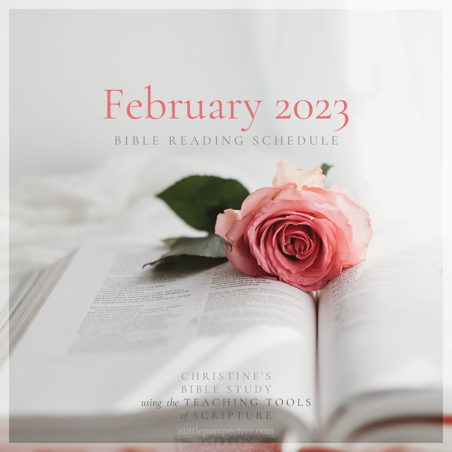 February 2023 Bible Reading Schedule | Christine's Bible Study @ alittleperspective.com