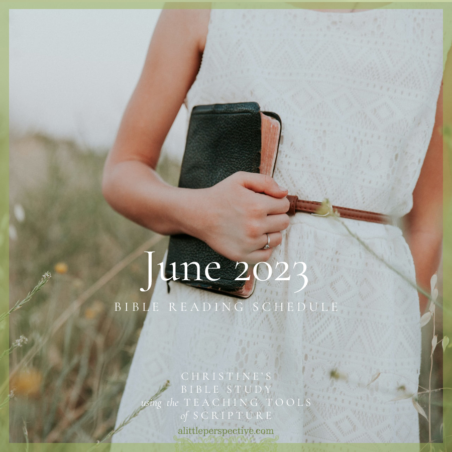June 2023 Bible Reading Schedule | Christine's Bible Study @ alittleperspective.com