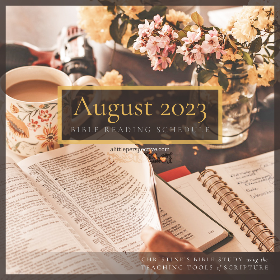 August 2023 Bible Reading Schedule | Christine's Bible Study @ alittleperspective.com