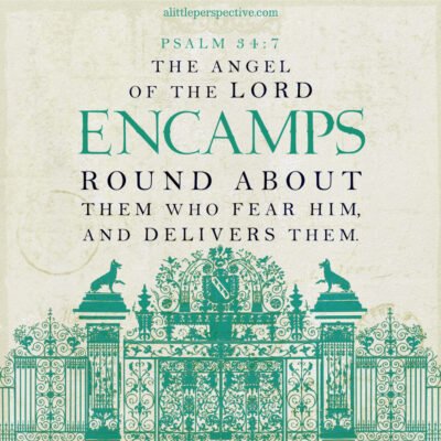 August 04 Bible Reading
