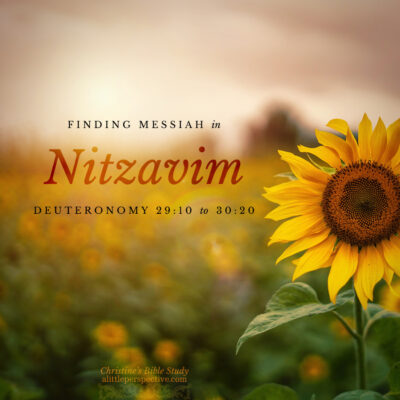 Finding Messiah in Nitzavim, Deuteronomy 29:10-30:20