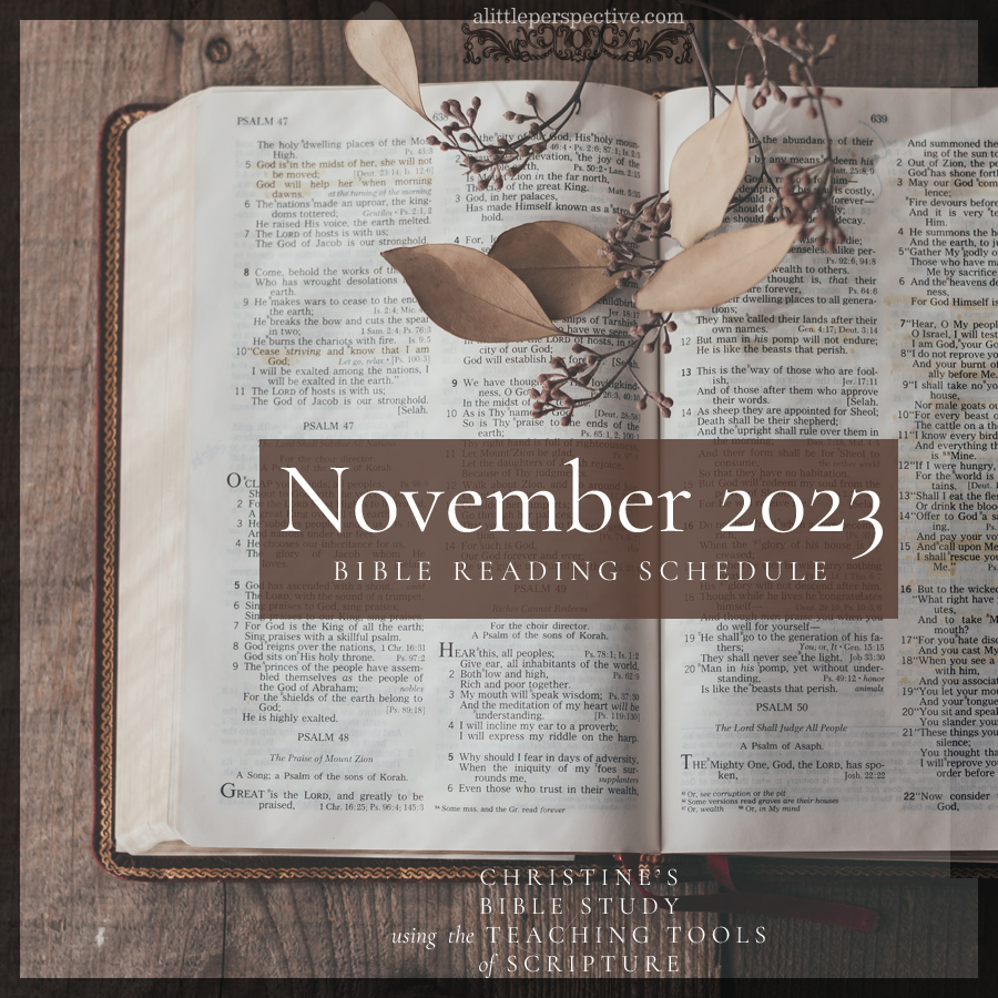 November 2023 Bible Reading Schedule | Christine's Bible Study @ alittleperspective.com