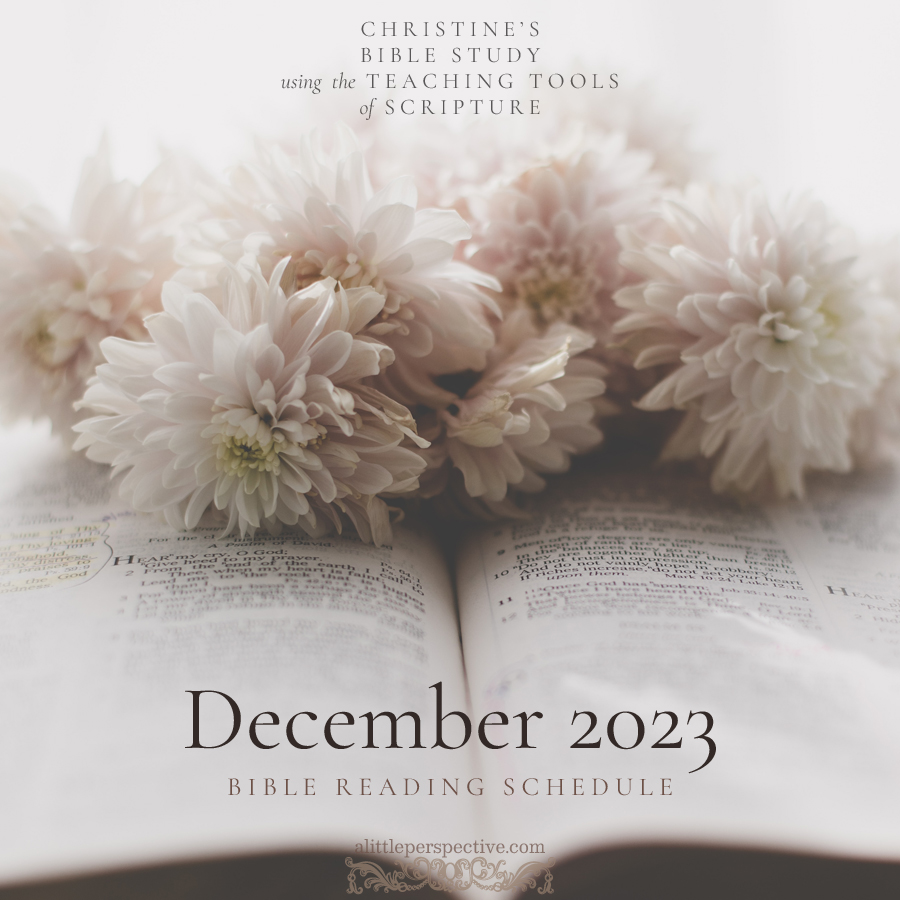 December 2023 Bible Reading Schedule | Christine's Bible Study @ alittleperspective.com