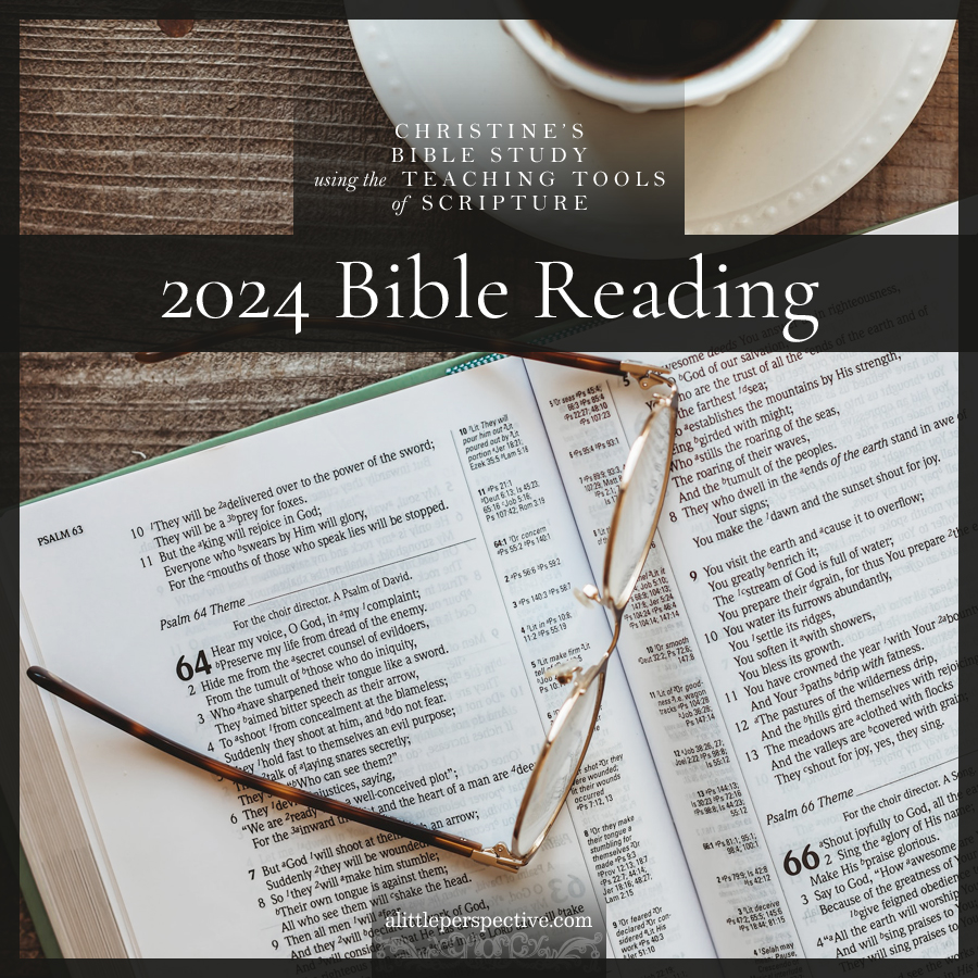 2024 Bible Reading Plan | Christine's Bible Study @ alittleperspective.com