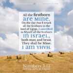 Num 3:13 | Scripture Pictures @ alittleperspective.com