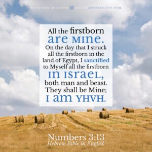 Num 3:13 | Scripture Pictures @ alittleperspective.com