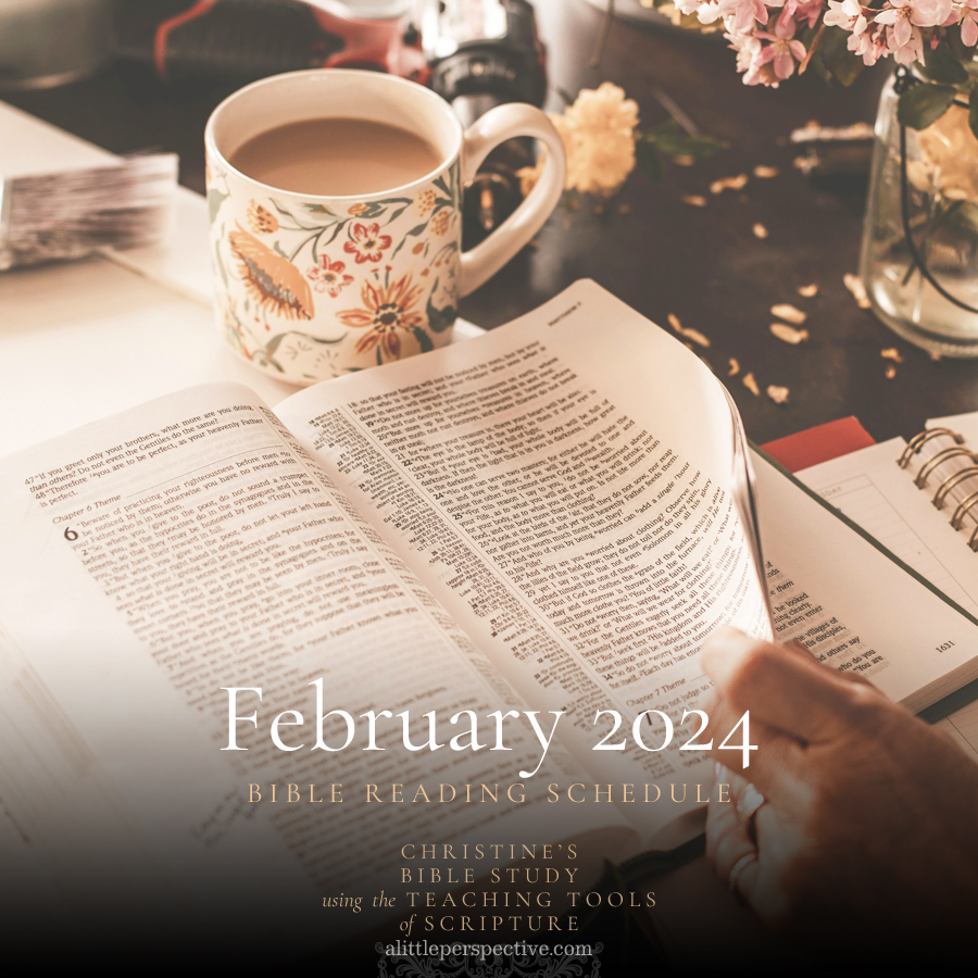 February 2024 Bible Reading Schedule | Christine's Bible Study @ alittleperspective.com