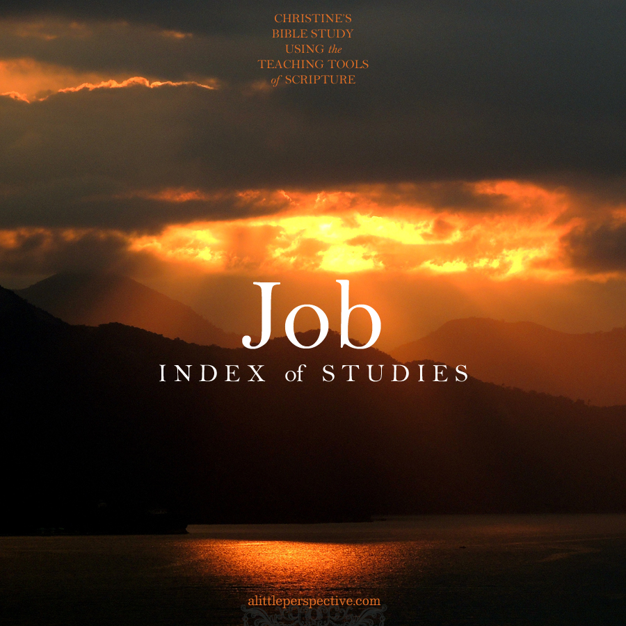 Job Index | Christine's Bible Study @ alittleperspective.com