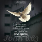Joh 6:63 | Scripture Pictures @ alittleperspective.com