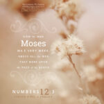 Num 12:3 | Scripture Pictures @ alittleperspective.com