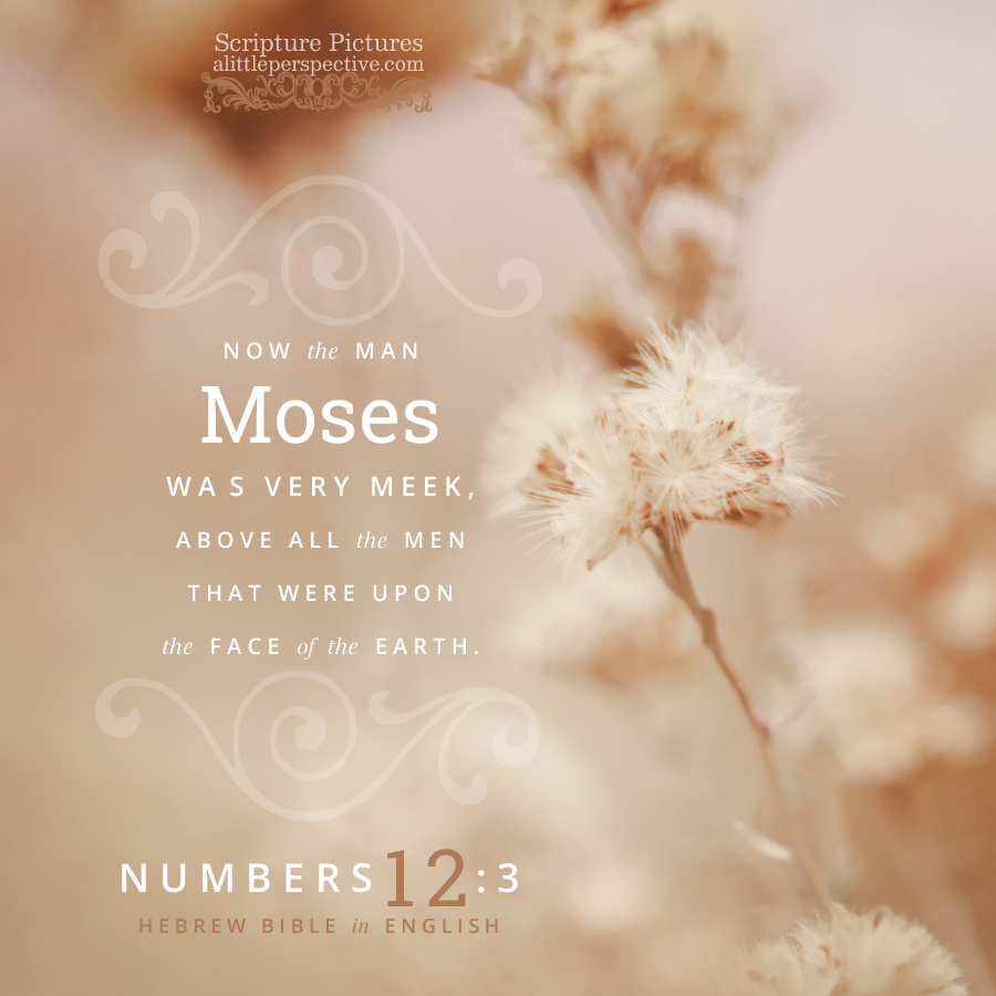 Num 12:3 | Scripture Pictures @ alittleperspective.com