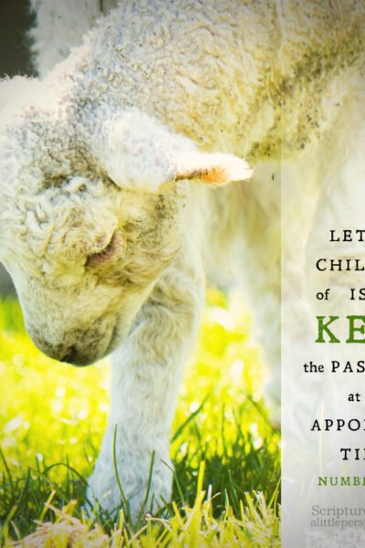 Num 9:2 | Scripture Pictures @ alittleperspective.com