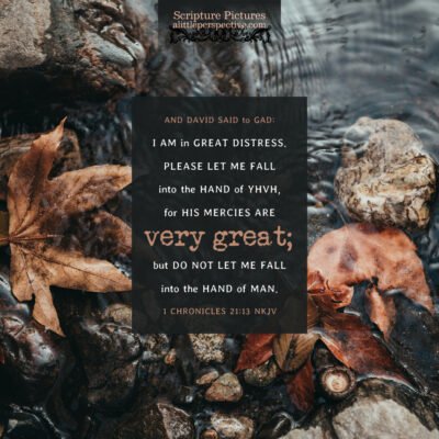 1 Chronicles 19 through 21
