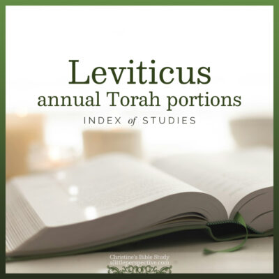 Leviticus Annual Torah Portions