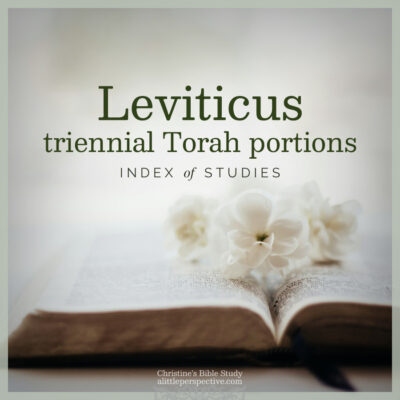 Leviticus Triennial Torah Portions
