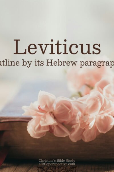 Leviticus Outline by its Hebrew Paragraphs | Christine's Bible Study @ alittleperspective.com