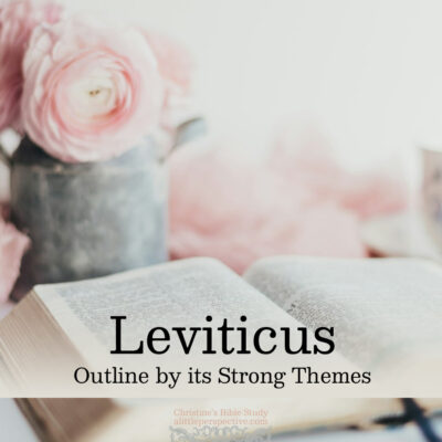 Outline of Leviticus by its Strong Themes