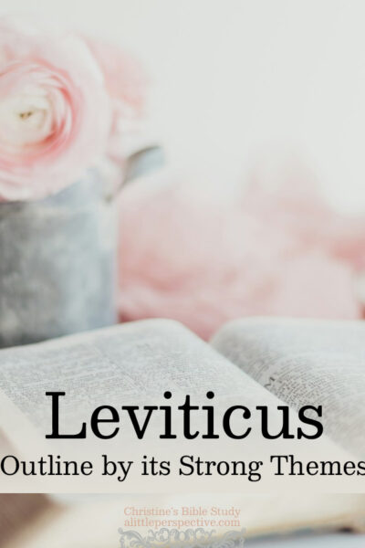 Leviticus Outline by its Strong Themes | Christine's Bible Study @ alittleperspective.com