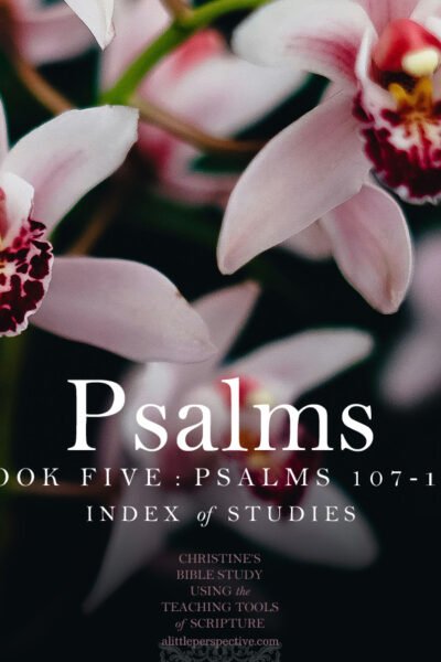 Psalms Book Five (Psa 107-150) Index | Christine's Bible Study @ alittleperspective.com