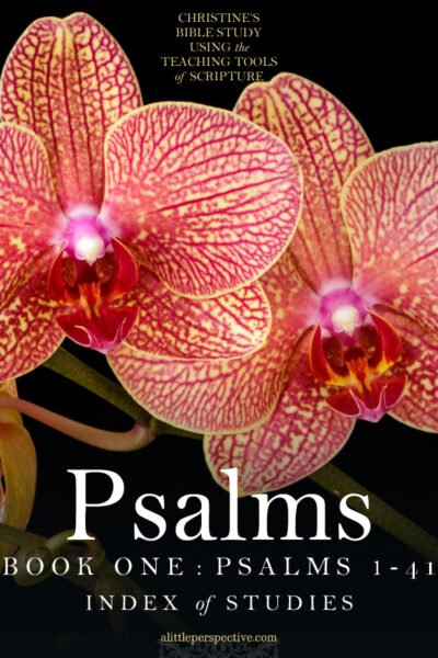 Psalms, Book One: Psalms 1-41 Index of Studies | Christine's Bible Study @ alittleperspective.com