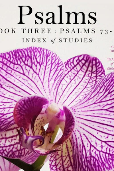 Psalms Book Three (73-89) Index | Christine's Bible Study @ alittleperspective.com