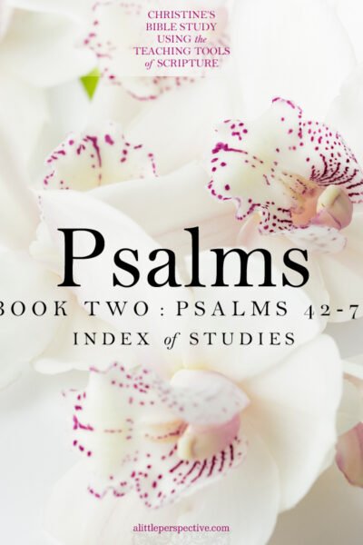 Psalms, Book Two, Psalms 42-72 Index of Studies | Christine's Bible Study @ alittleperspective.com