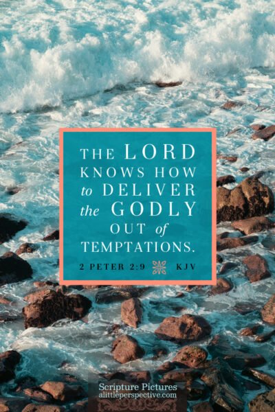 2 Pet 2:9 | Scripture Pictures @ alittleperspective.com