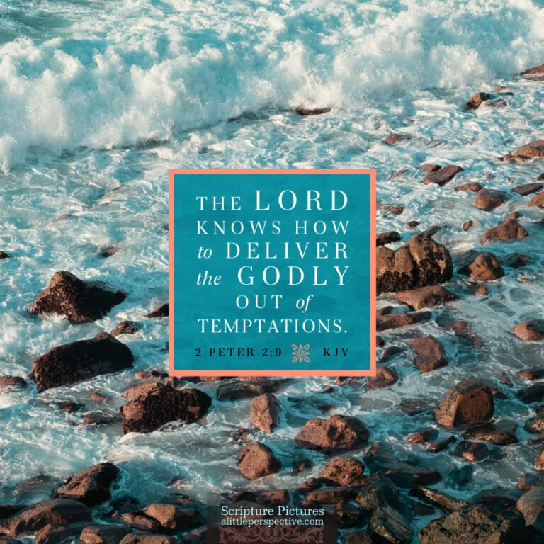 2-pet-2-9-kjv-unsplash