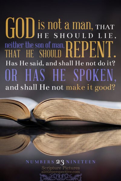 Num 23:19 | Scripture Pictures @ alittleperspective.com