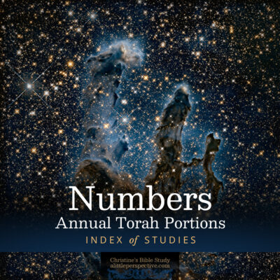 Numbers Annual Torah Portions