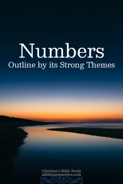 Numbers Outline by its Strong Themes | Christine's Bible Study @ alittleperspective.com