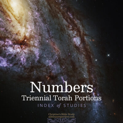 Numbers Triennial Torah Portions