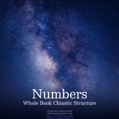 Numbers Whole Book Chiastic Structure