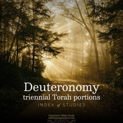 Deuteronomy Triennial Torah Portions