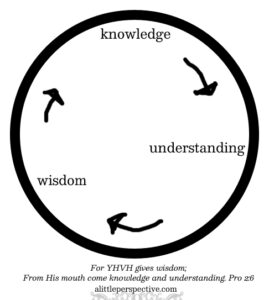 Knowledge, understanding, and wisdom | alittleperspective.com