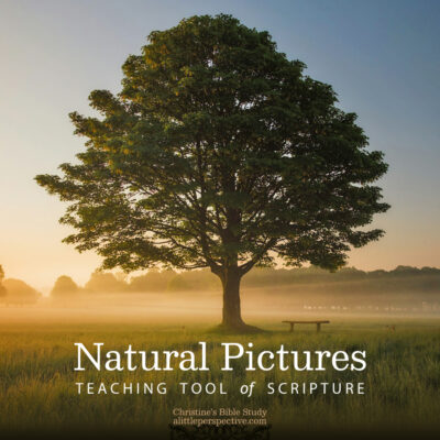 Teaching Tool of Natural Pictures